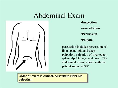 身體九宮格|腹部理學檢查 Abdomen physical examination